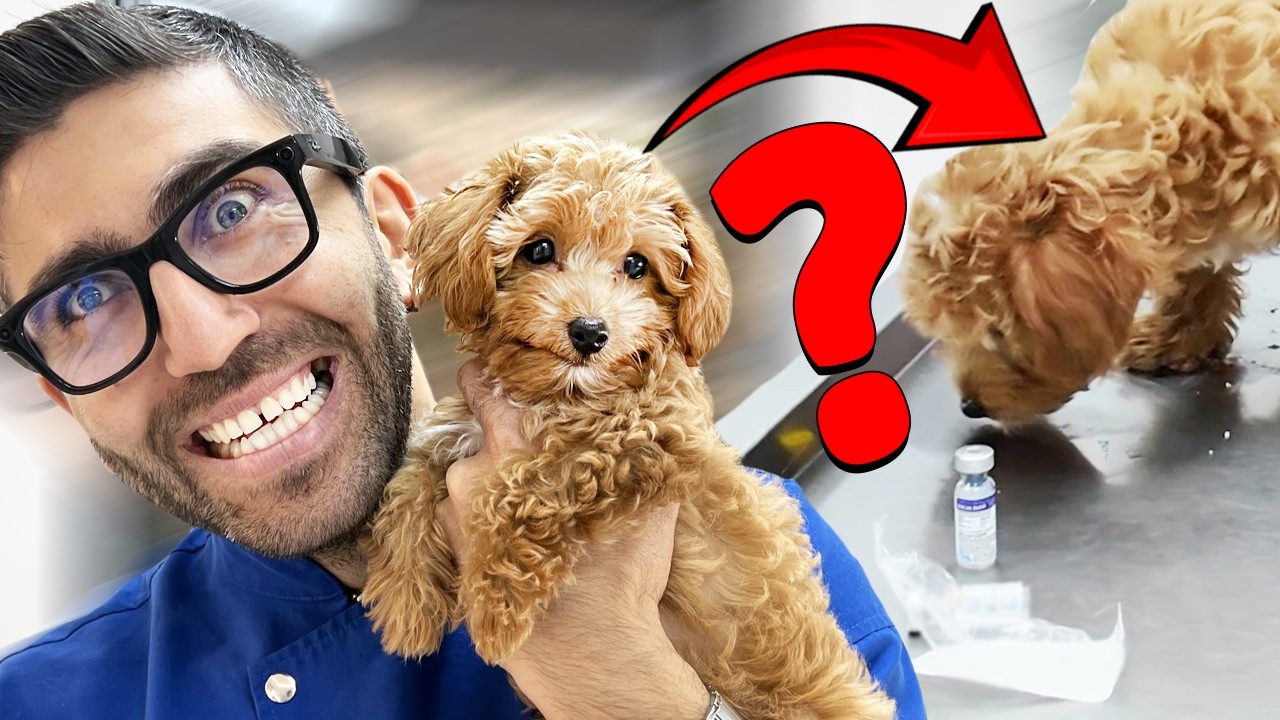 AŞIYI YEDİ! (Şaka gibi)