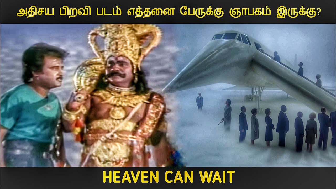 சொர்க்கம் காத்திருக்க முடியும் (1978) விளக்கம் by Movie Multiverse