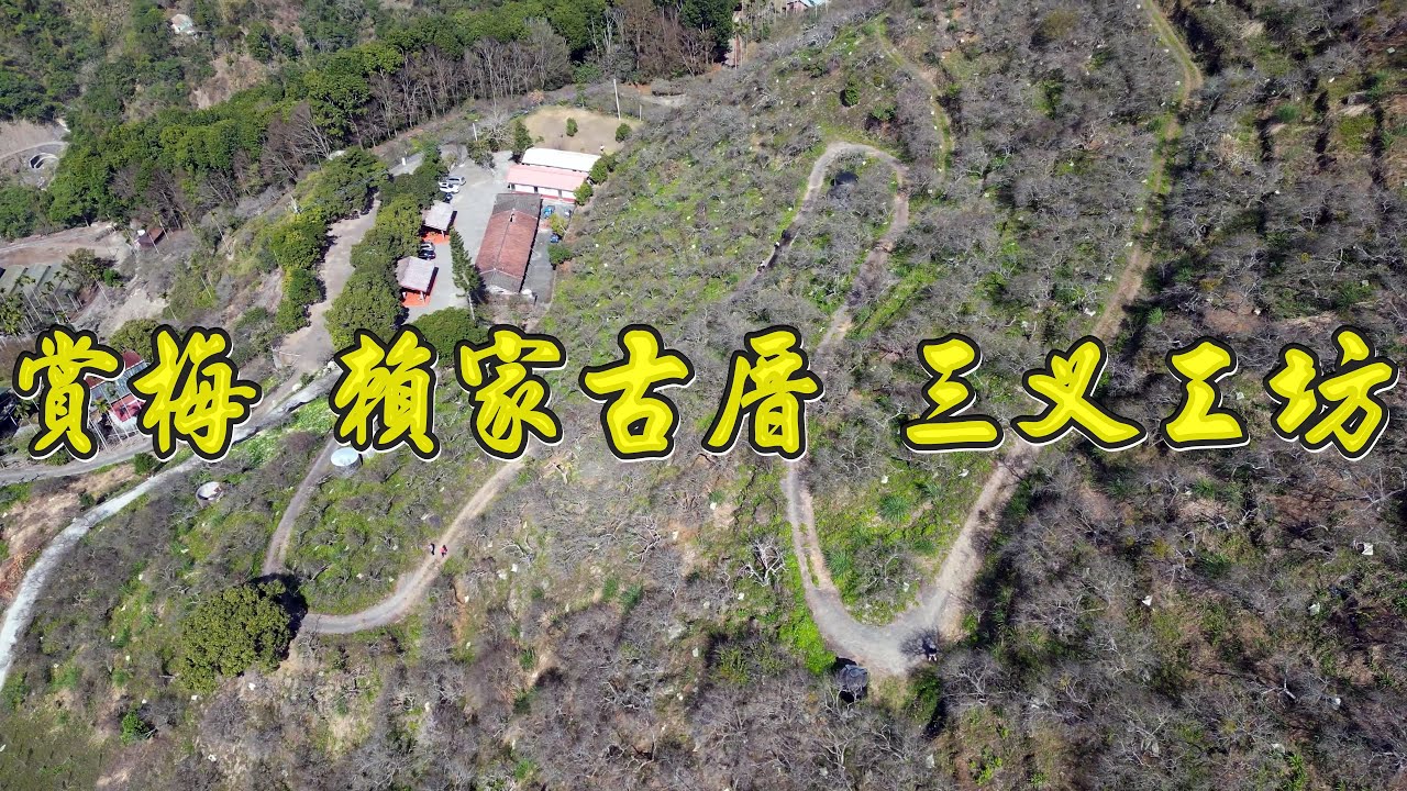 賞梅 賴家古厝 三叉工坊 百年梅樹 寶來花賞溫泉公園 成功吊橋修護完工