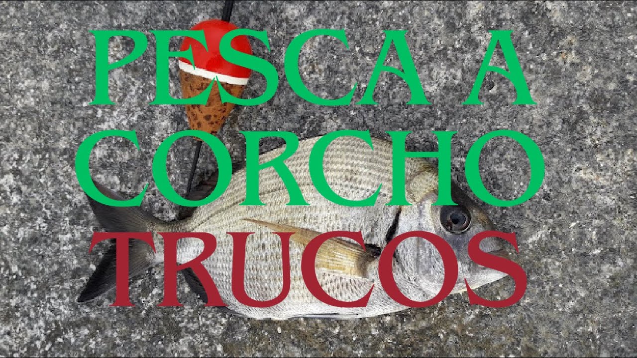 Pesca a corcho TRUCOS