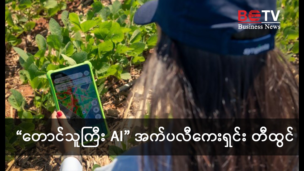 “တောင်သူကြီး AI” အက်ပလီကေးရှင်း တီထွင်
