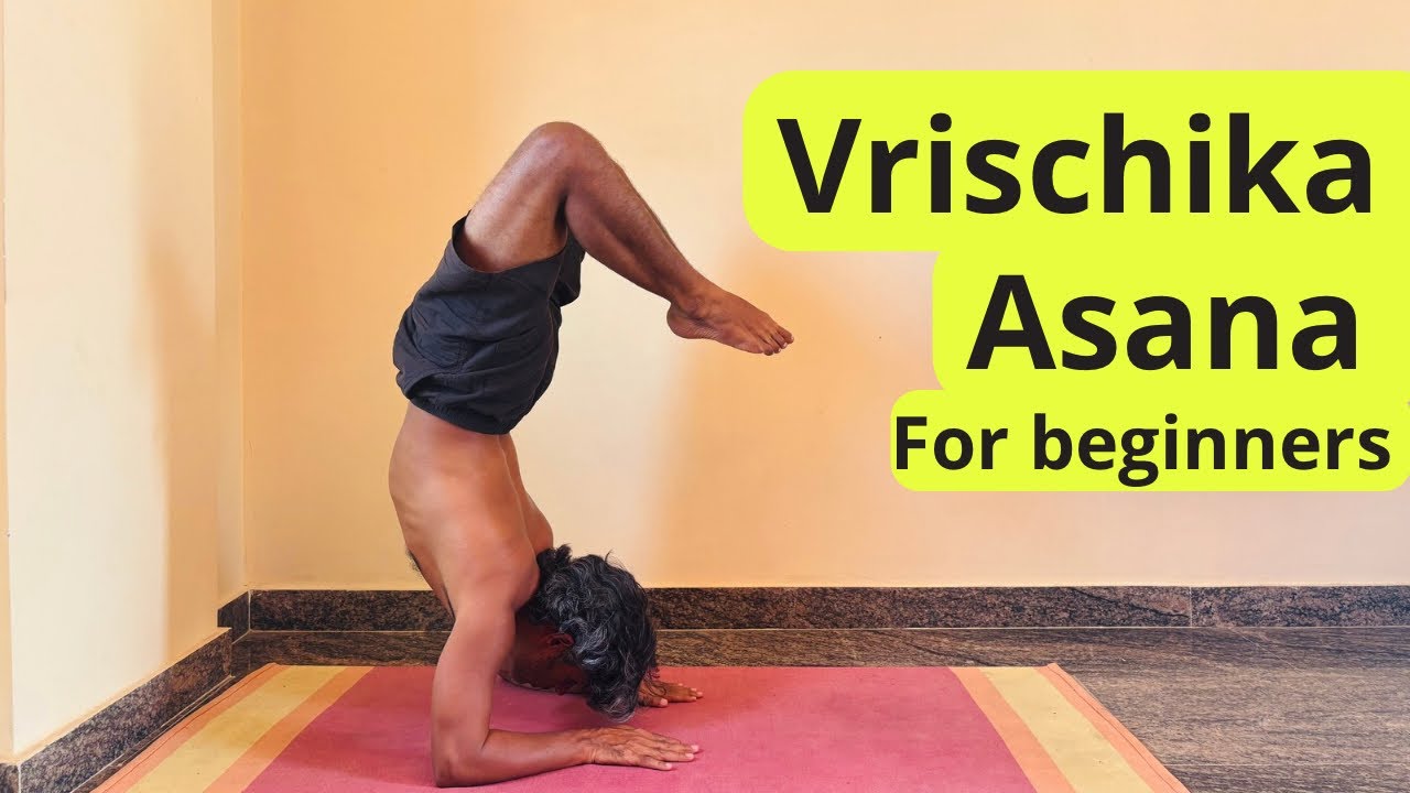 How to do Vrischikasana for beginners | How to do Scorpion Pose| #thechanduyoga  #Vrschikasana 