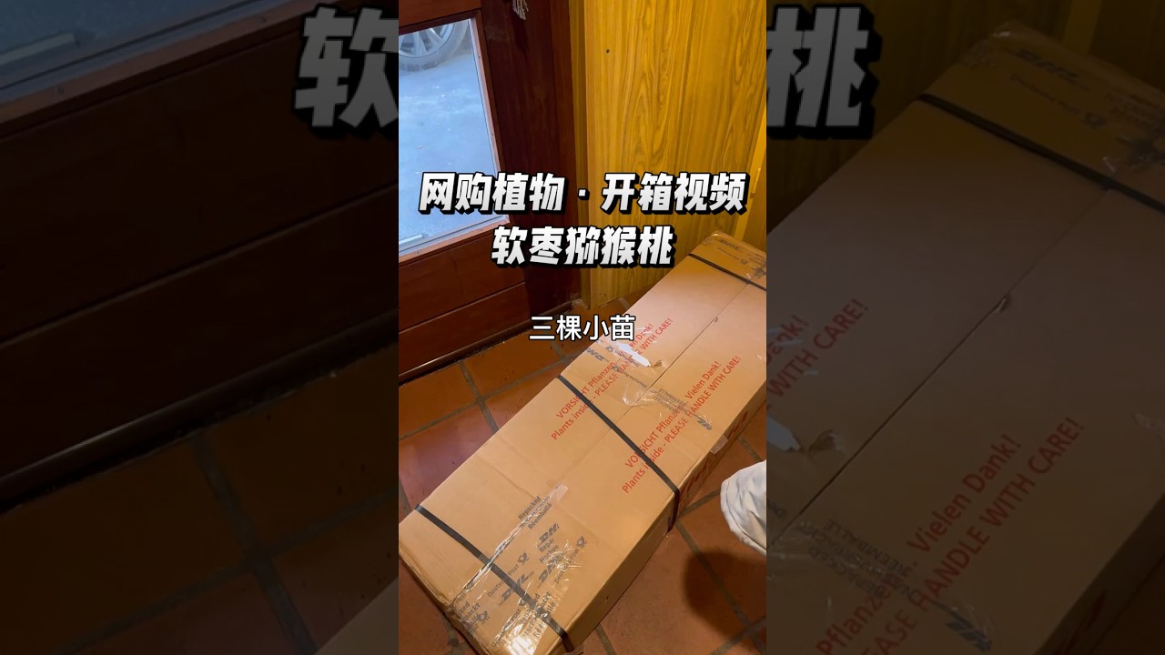 网购软枣猕猴桃 | 开箱视频 (2025-12-01)  