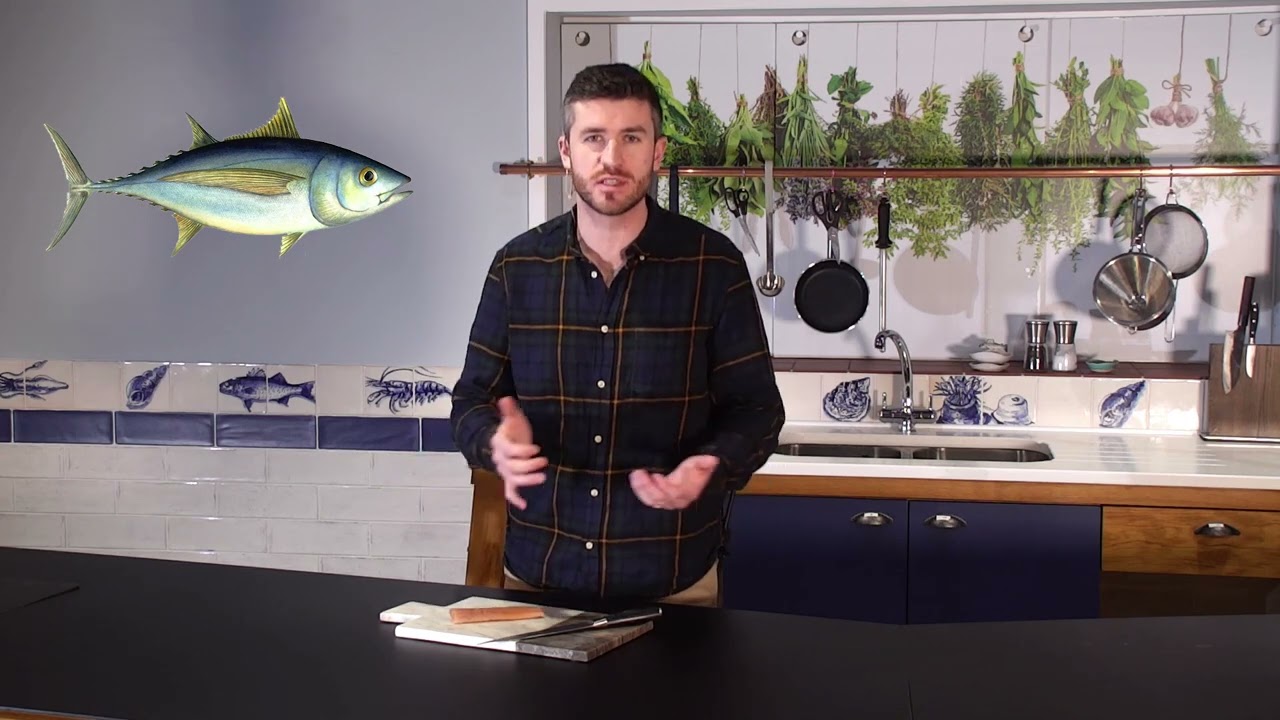 Top 3 Types of Tuna : Bluefin - Albacore - Yellowfin