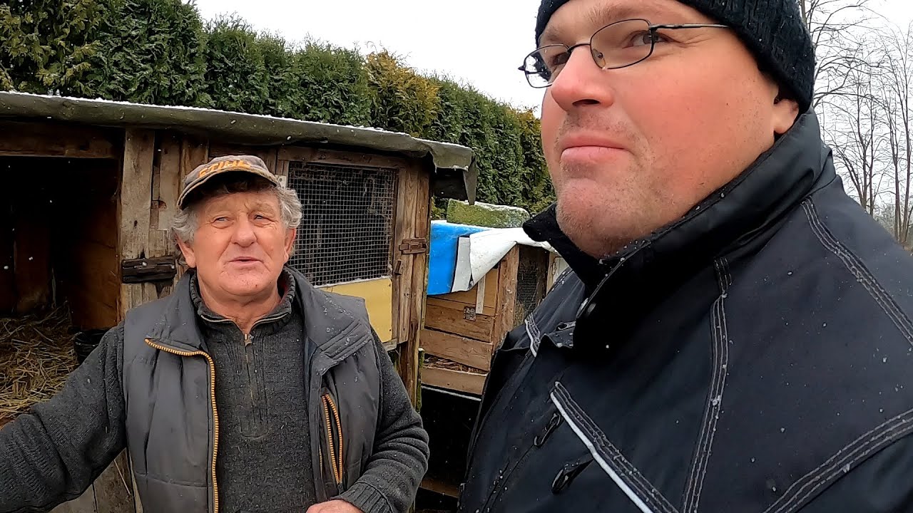 Tomasz i Kazimierz Polowanie na wystawę królików w Wieluniu