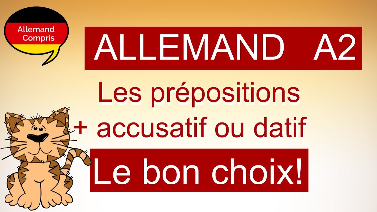 🇩🇪  Locatif ou directif ? Les prépositions suivies de l'accusatif ou du datif | #apprendreallemand