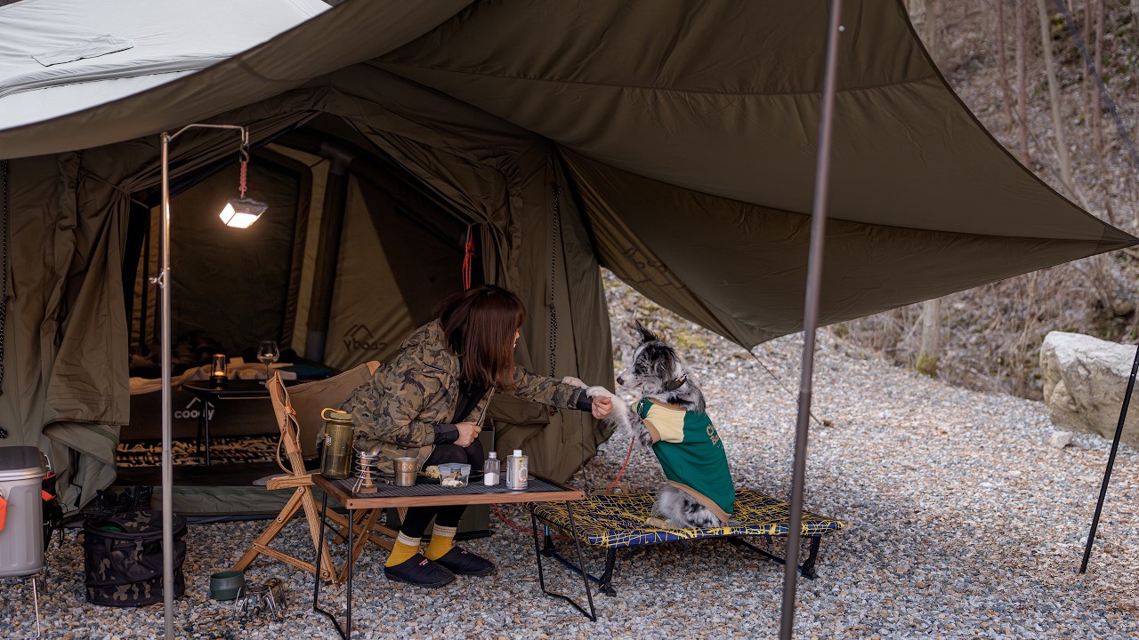 Соло-кемпинг в тихом лесу с моей собакой | уютно, свежо и расслабляюще | кемпинг ASMR