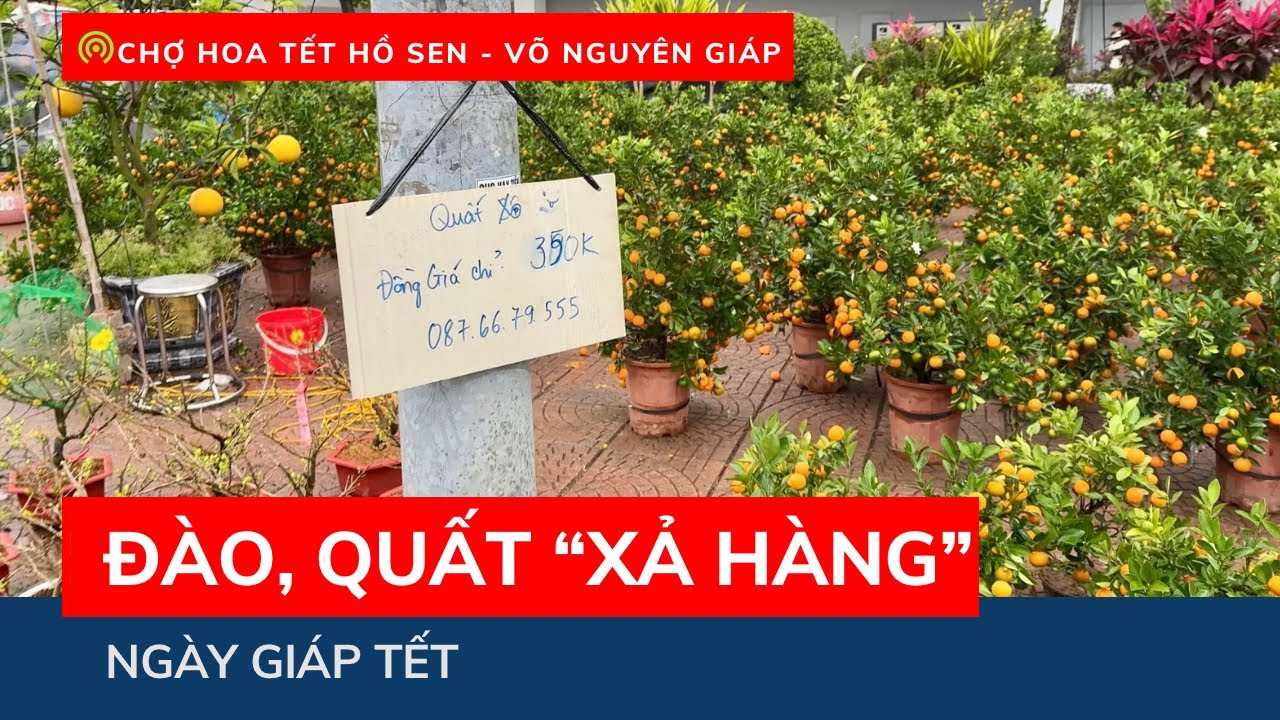 24 tháng Chạp: Đào, quất chợ hoa Tết Hồ Sen – Võ Nguyên Giáp 
