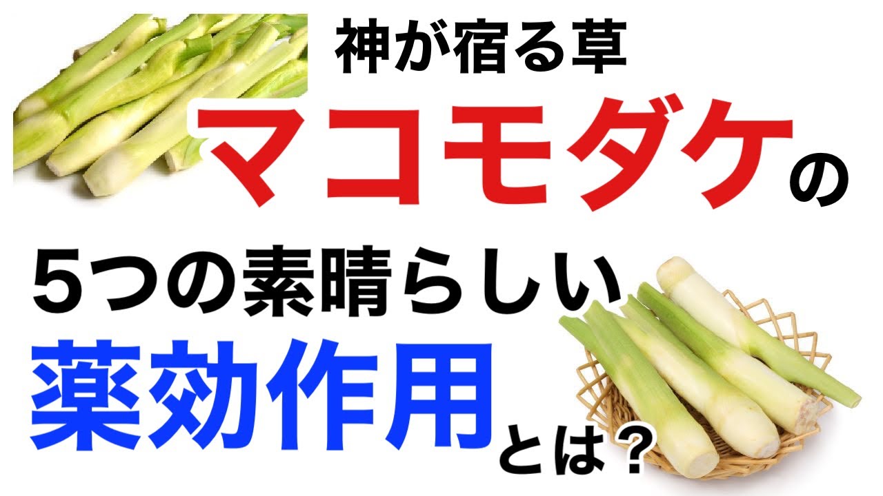 神が宿る草「マコモダケ」の素晴らしい5つの薬効作用を解説します。店頭で見たら、ぜひ食べてみてください！【栄養チャンネル信長】