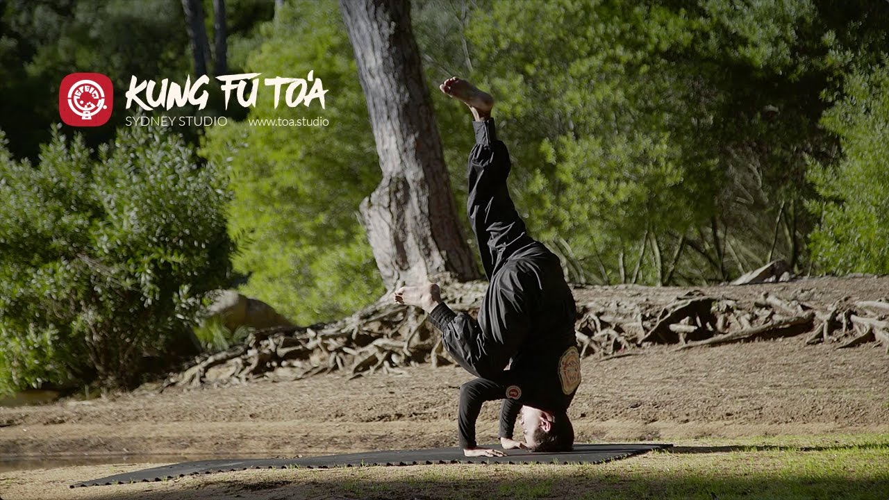 Kung Fu Toa Studio - Yoga and Advanced Exercises