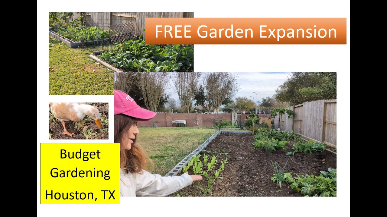 Expanding My Garden Bed for FREE | No Soil Bought, Just Smart Garden Design