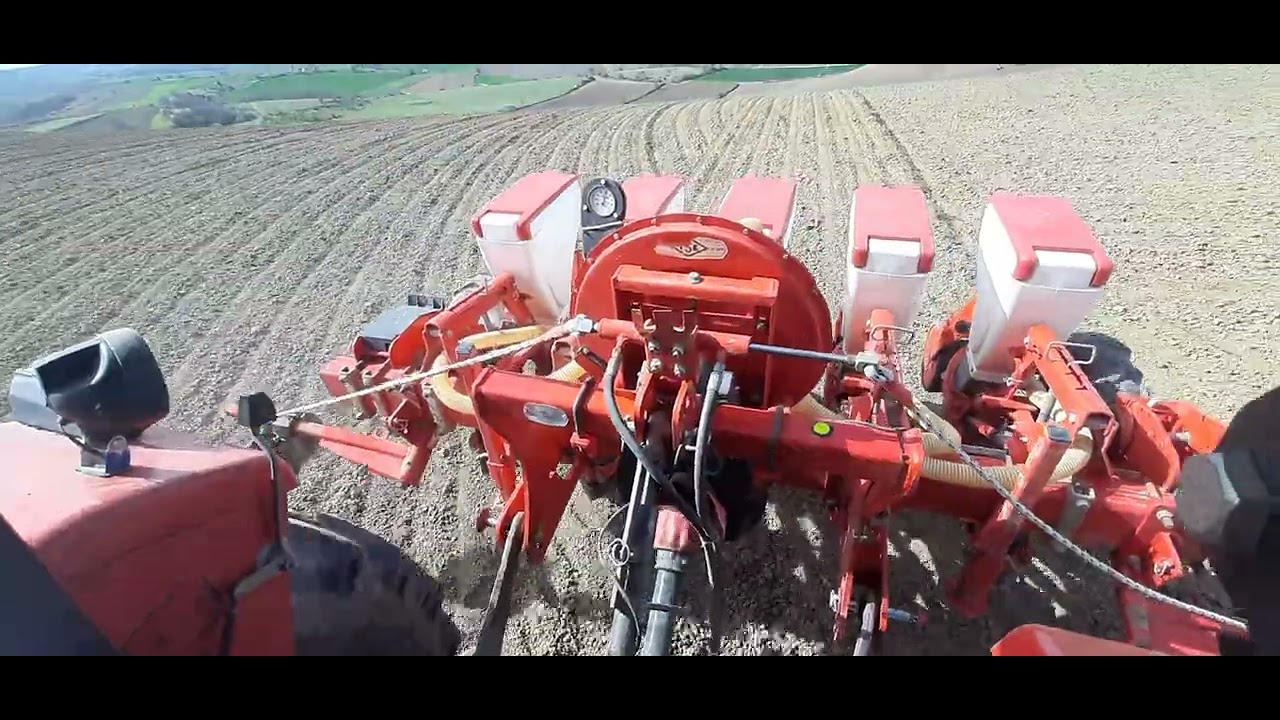 ŞAKALAK HAVALI PANCAR EKİMİ 2024 Massey ferguson 266 gold#266#keşfet #akım #keşfetbeniöneçıkar