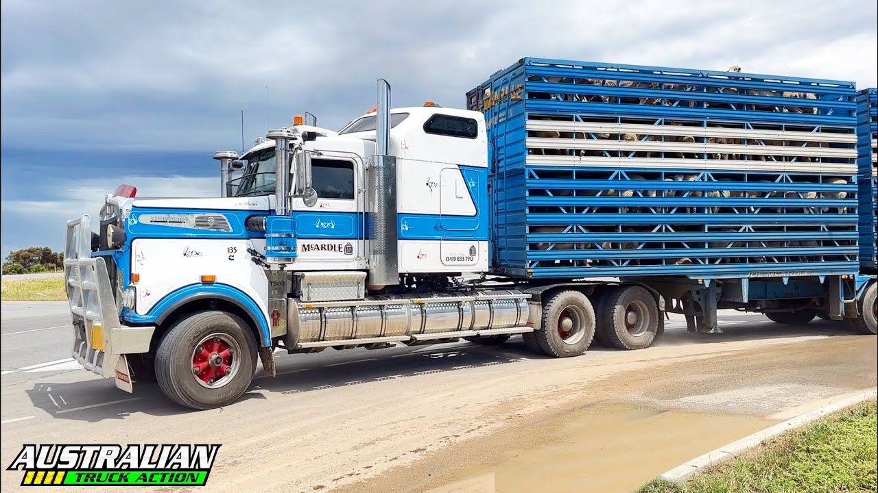 Australian Livestock Trucks Compilation #2