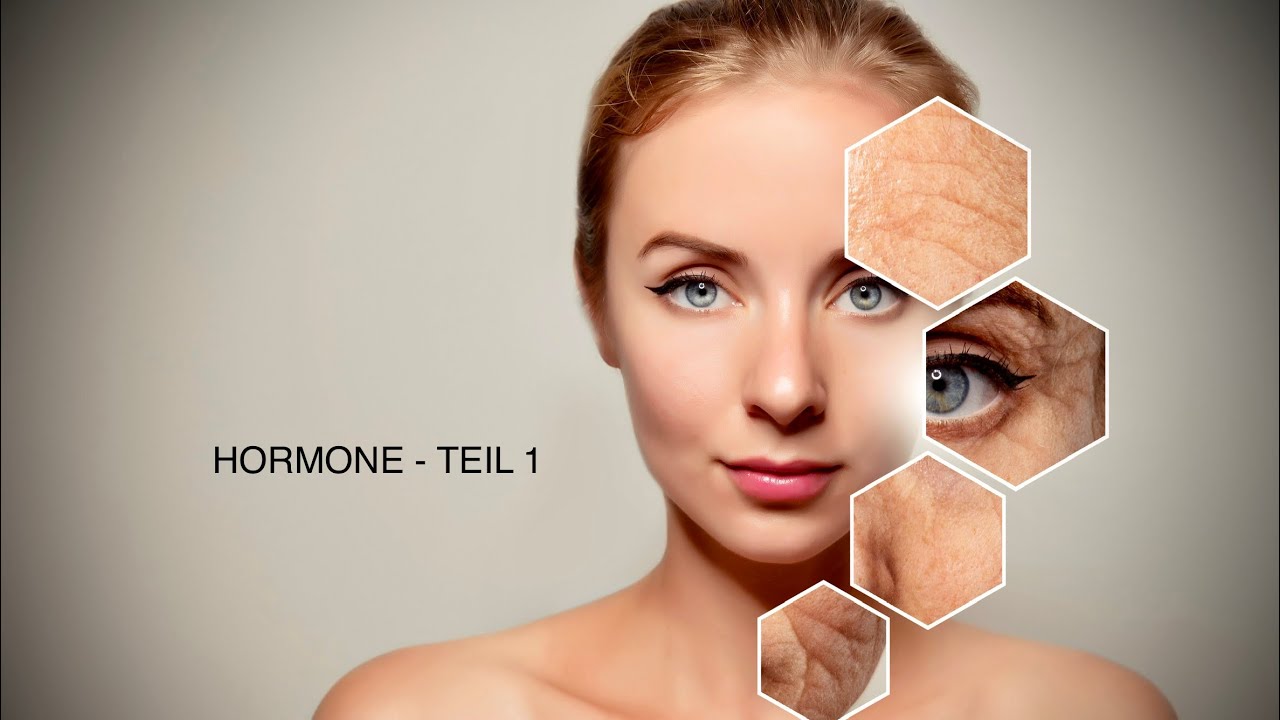 Hormone - TEIL 1