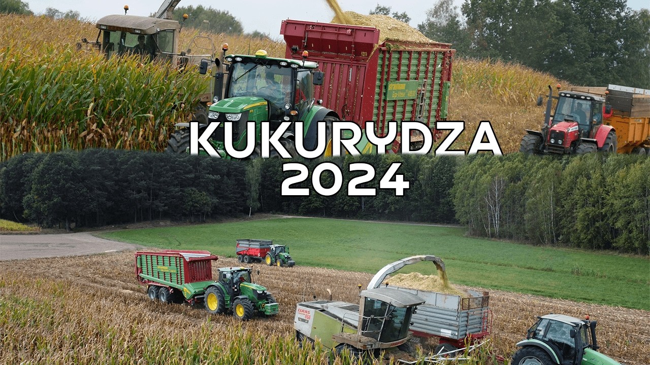 Zgrana ekipa vs kukurydza 2024! [Jaguar 860, JD 6170R, JD 6115R, MF 6465, DF Agrotron 115] 🚜🌽