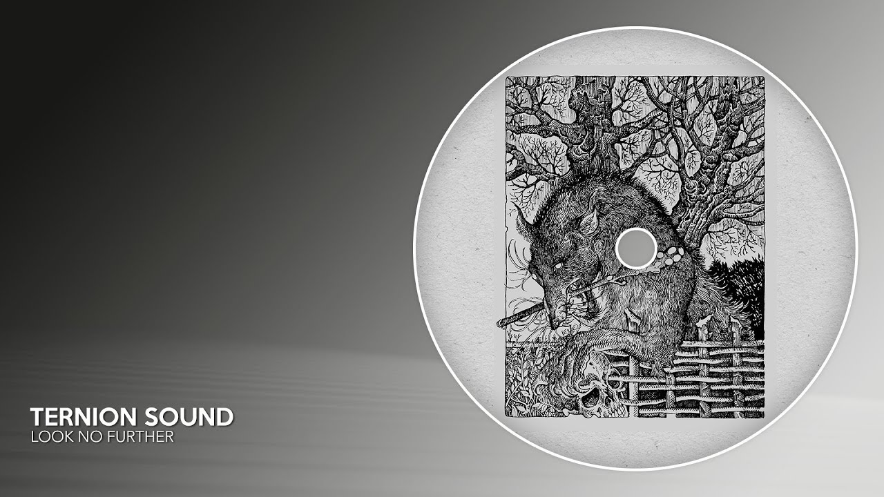 Ternion Sound - Look No Further