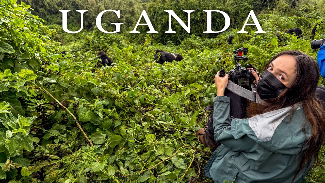 48 Hours Tracking Mountain Gorillas in Bwindi, Uganda