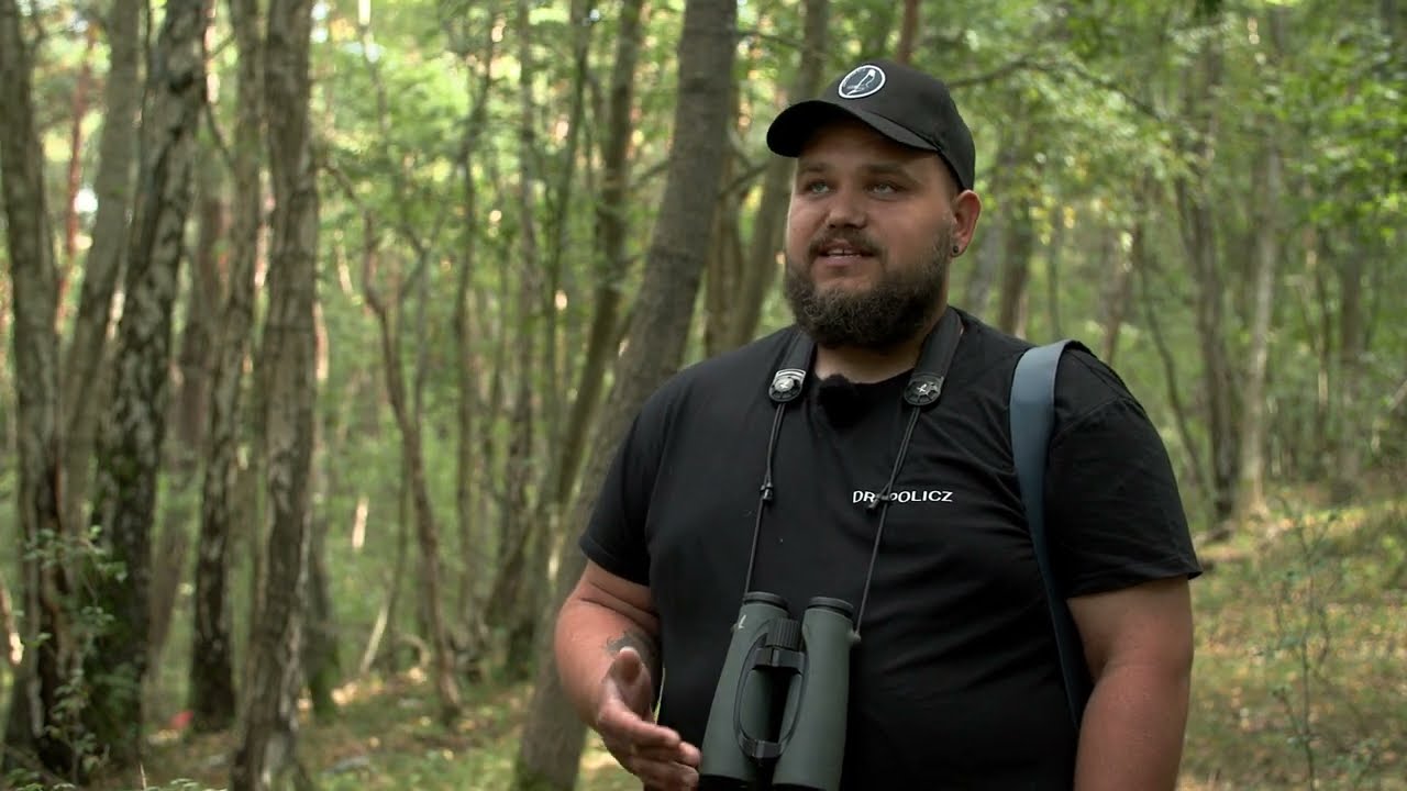 Sekrety ptaków Mierzei Wiślanej: birdwatchingowy raj na Górze Pirata