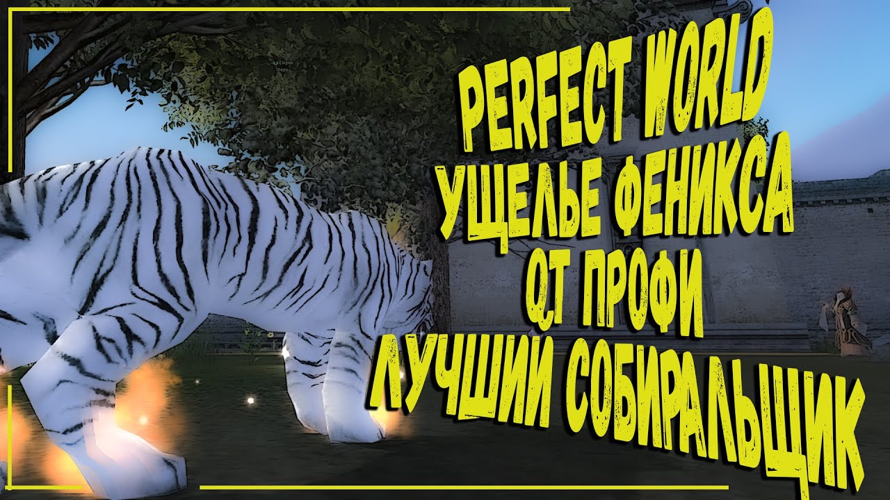 PERFECT WORLD | УЩЕЛЬЕ ФЕНИКСА ОТ ПРОФЕССИОНАЛА | ЗАПОРОЛ УФ ПАЦАНАМ | ВЫПУСК №3 БУДУЩЕГО АСПД ТАНКА