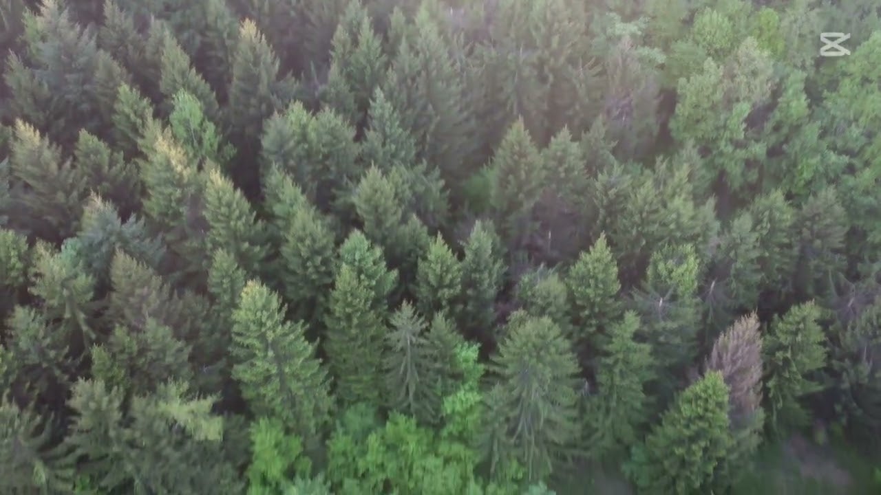 1. maj na Planini Ratis
