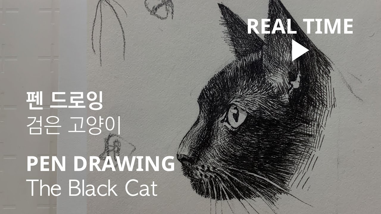펜드로잉-검은 고양이 Pen Drawing - The Black Cat