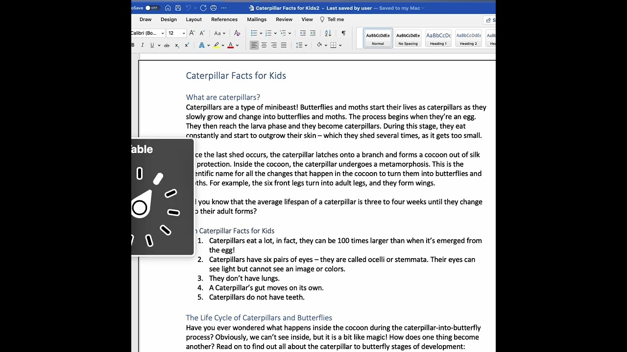 Navigating Word on a Mac with VO