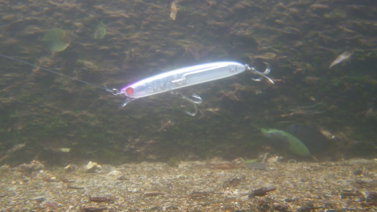 ラムタラ シリーズを調べた