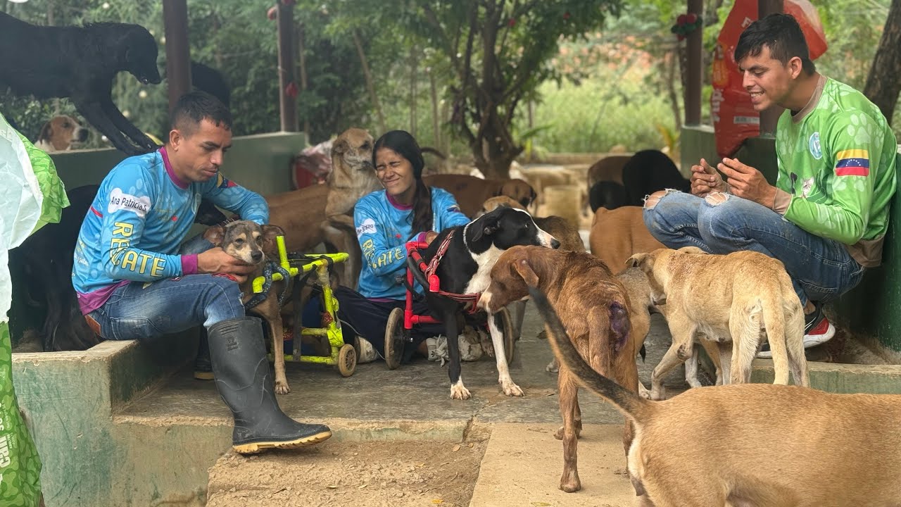 🚨Alimentando 200 peludos rescatados 🙈