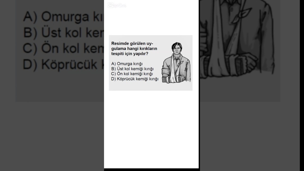 Ehliyet Sınavında Çıkan Kırık Tespiti Sorusu  Çok Kolay Ama Çok Gelen