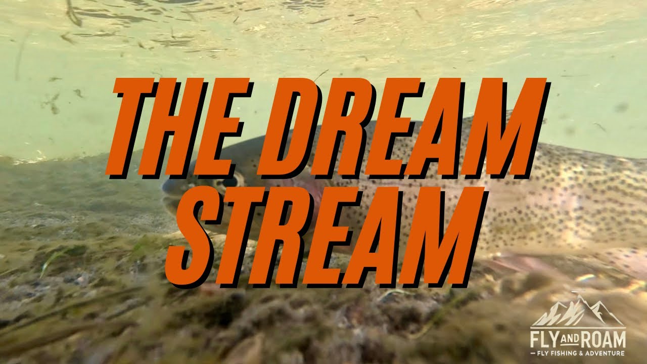 Fly Fishing The Dream Stream in Colorado!