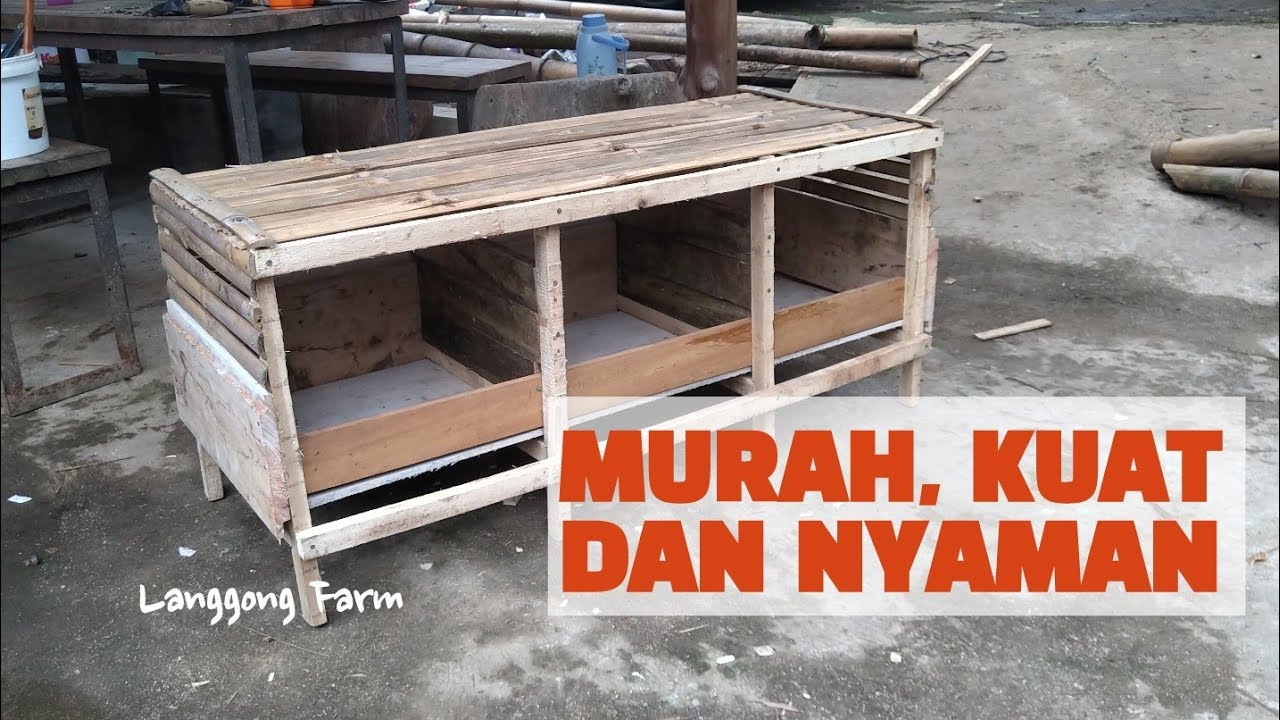CARA MEMBUAT PETARANGAN AYAM DAN ENTOK TERBARU || TEMPAT BERTELUR ENTOK YANG MURAH DAN RAPI