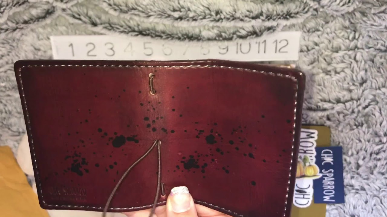 Chic Sparrow Unboxing: Nano Odyssey Penelope  & The Simple Pouch 2017