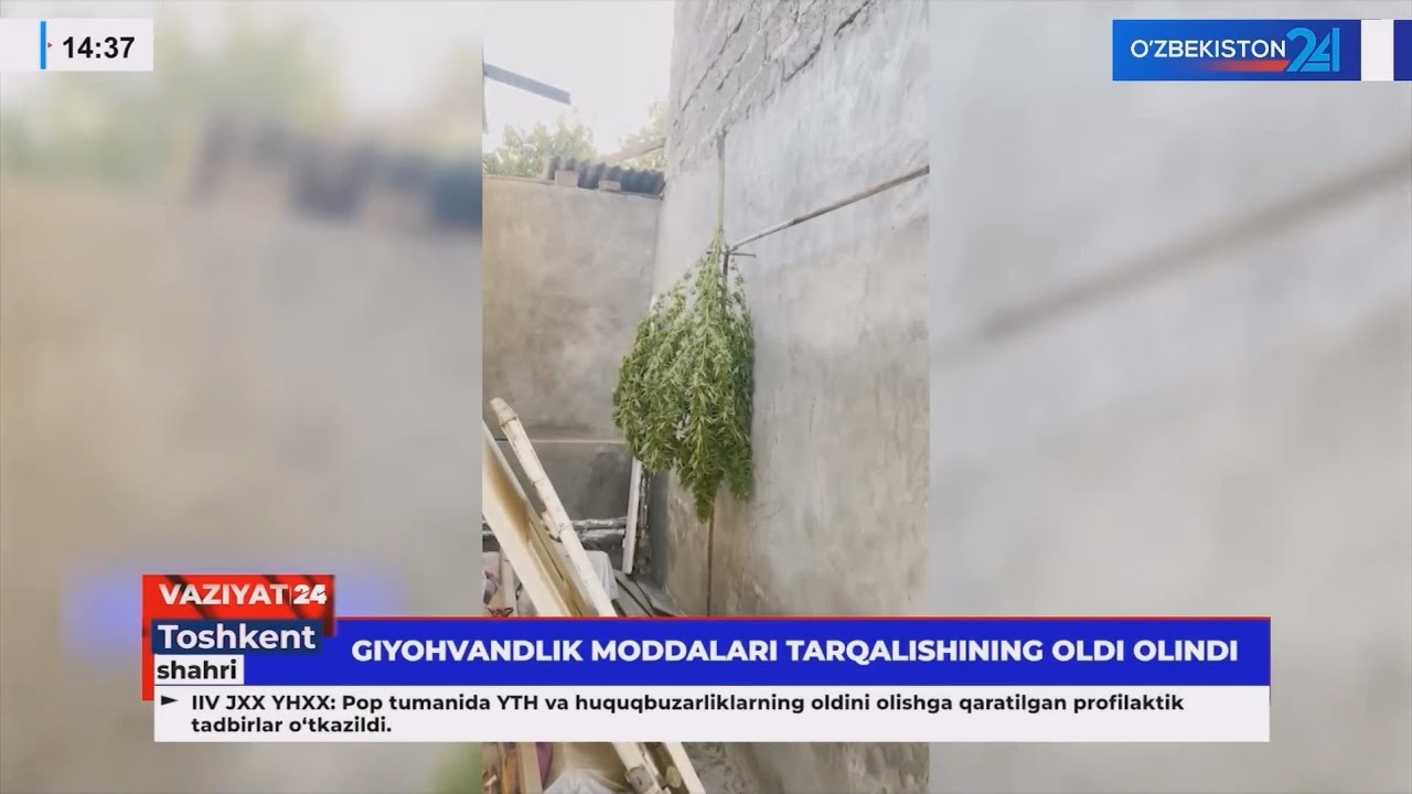Giyohvandlik moddalari tarqalishining oldi olindi (Toshkent)