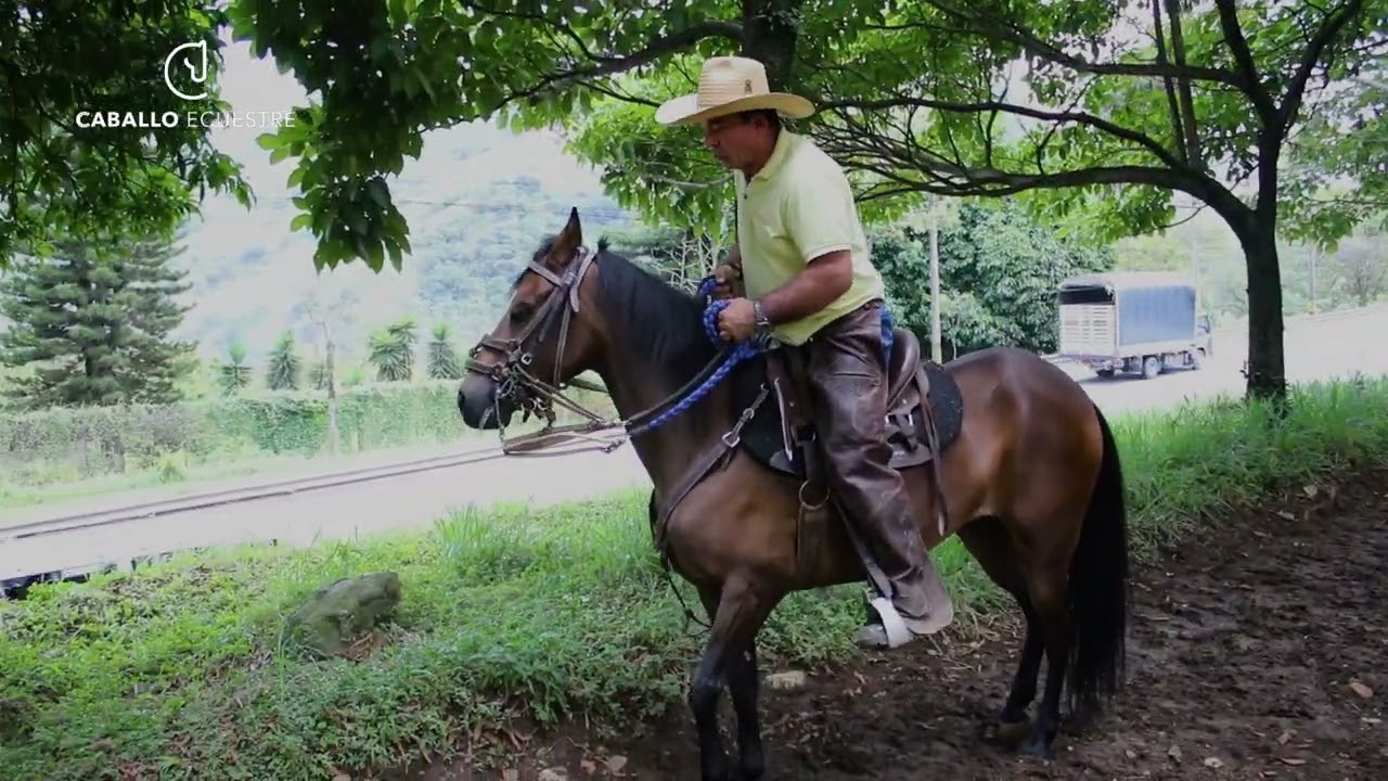 LA YEGUA SE PEGA!  Mal caracter - 🐴☠️ Dulce - Episodio 2