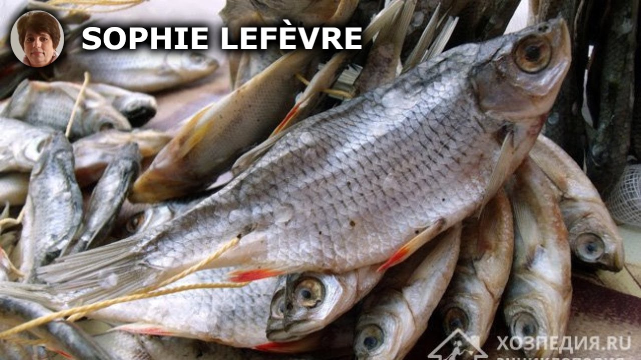 D&eacute;couvrez les Meilleures Astuces pour Conserver le Poisson S&eacute;ch&eacute; &agrave; la Maison!