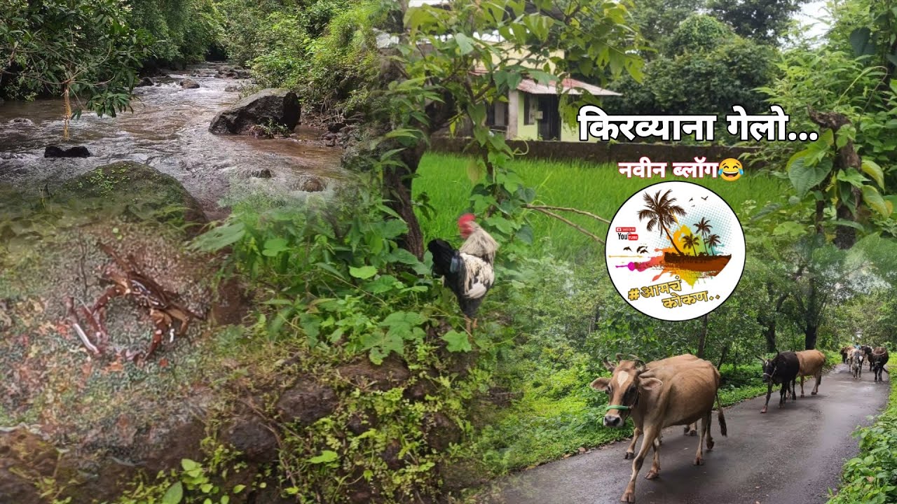 किरव्याना गेलो नदीवर,पण🤔....... पुढच व्हिडिओ मधे बघा🤪🫣