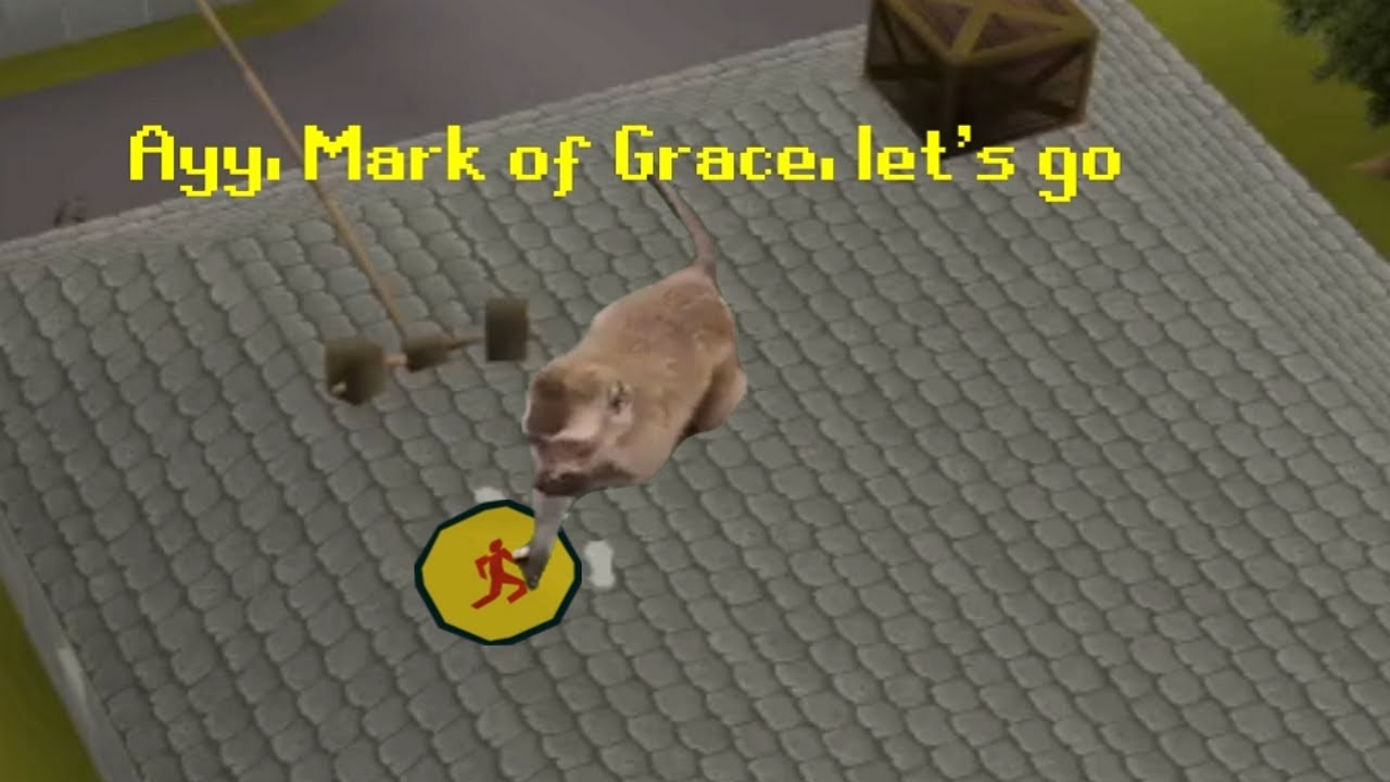 Monkey tries the Seers' Village Rooftop Agility course #osrs #runescape #monkey