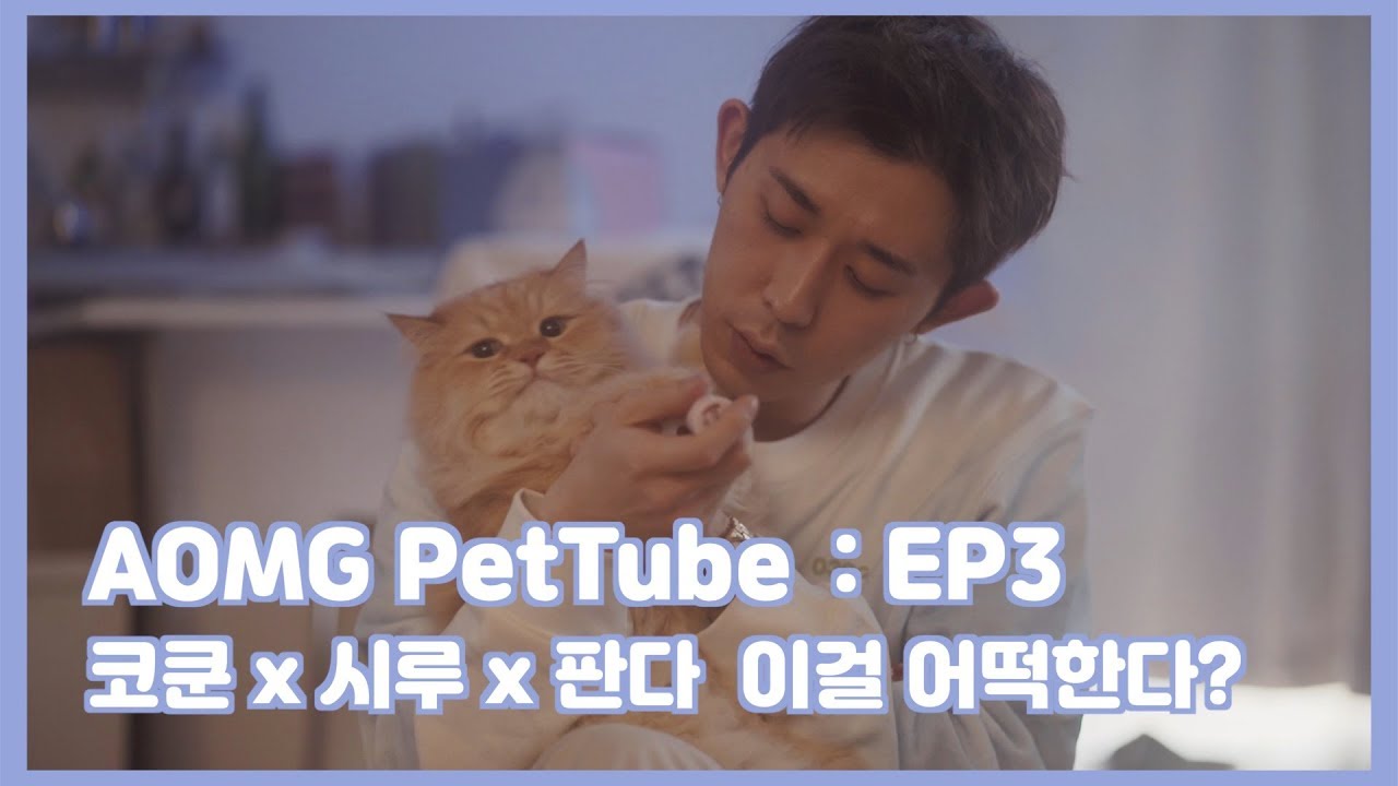 [AOMG PetTube] EP 03: 코드 쿤스트 (CODE KUNST) x 시루 (Seeroo) x 판다 (Panda)