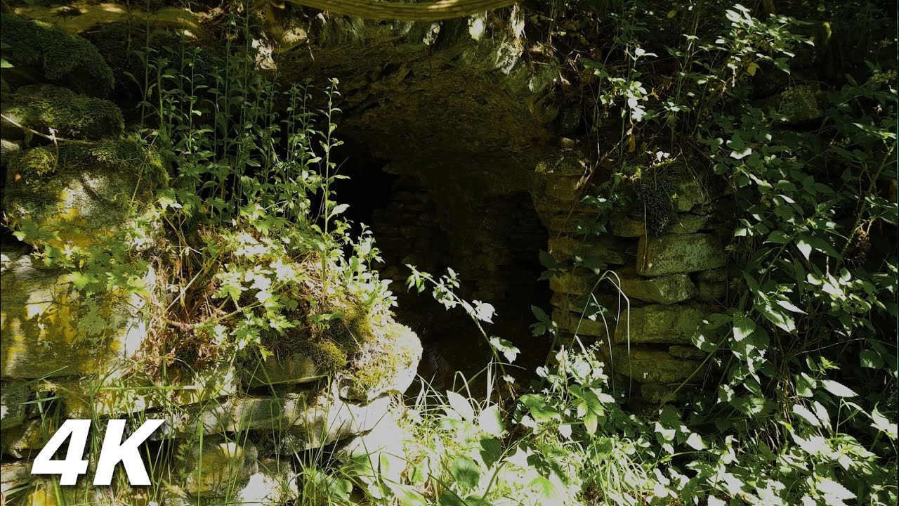 Where She Was Shot - ASMR History In Nature 4k