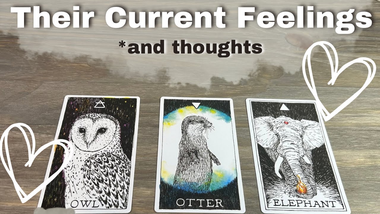❤️‍🔥💞🎶 Their CURRENT FEELINGS for You!? ✨🔮 Pick A Card Love Tarot Reading *DETAILED *TIMELESS