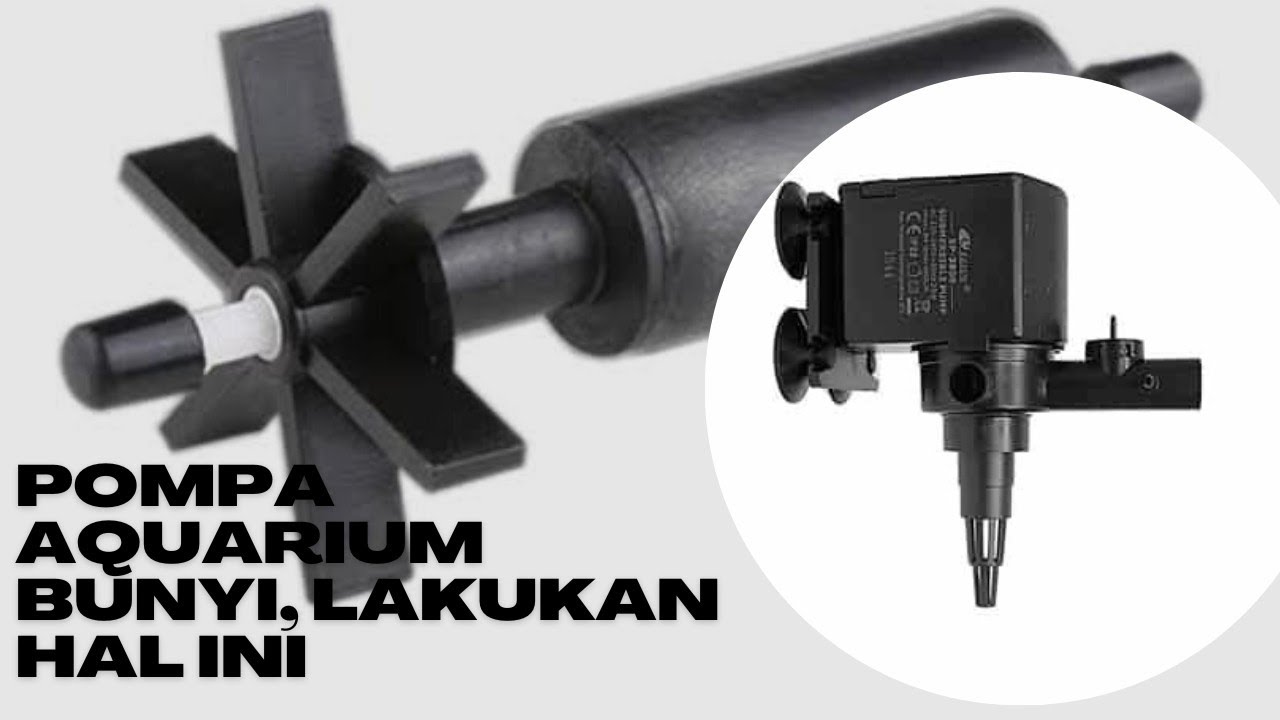 Pompa Aquarium Bunyi Berisik, lakukan Hal ini