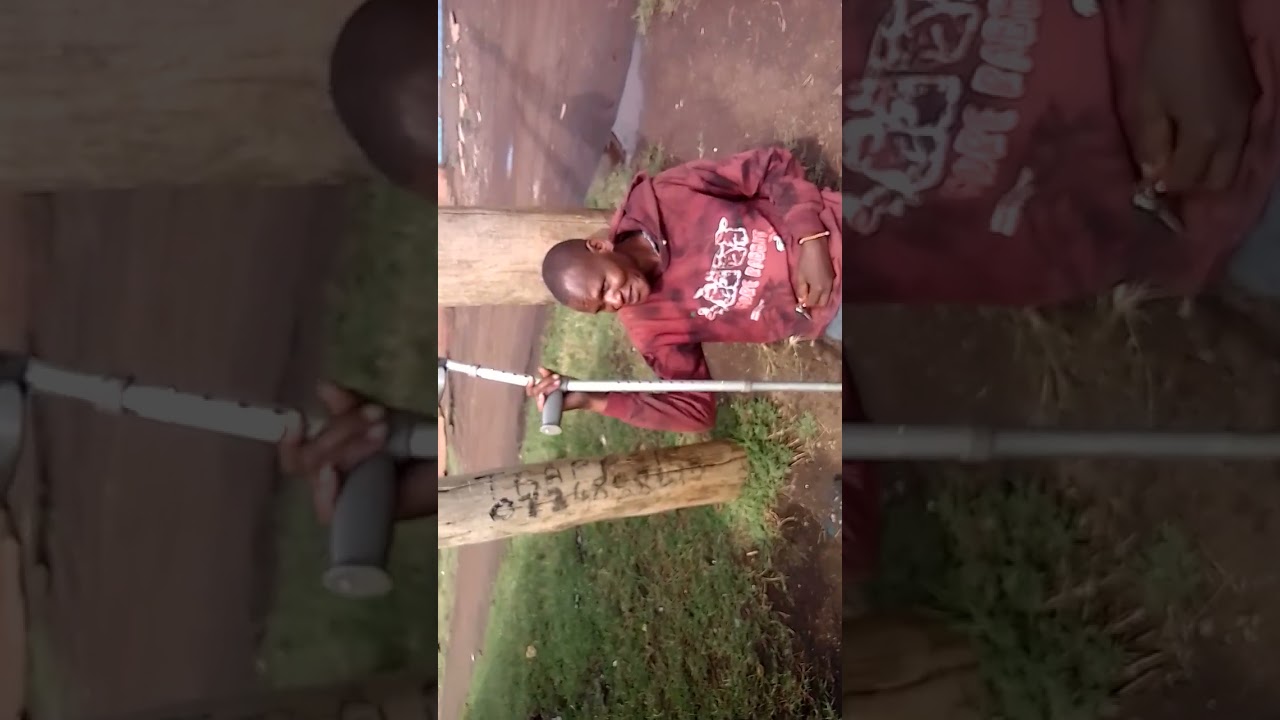 Mushenee ya Wahuni