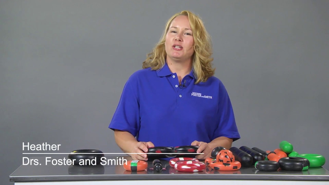 GoughNuts Dog Toys Product Review | Drs. Foster & Smith Pet Supplies
