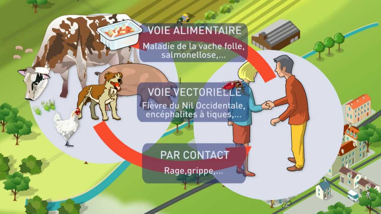 Le médicament vétérinaire au service d'Une Santé