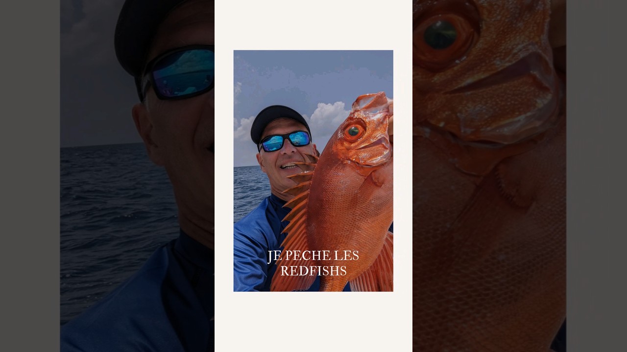 pêche de Redfish aux Antilles . 