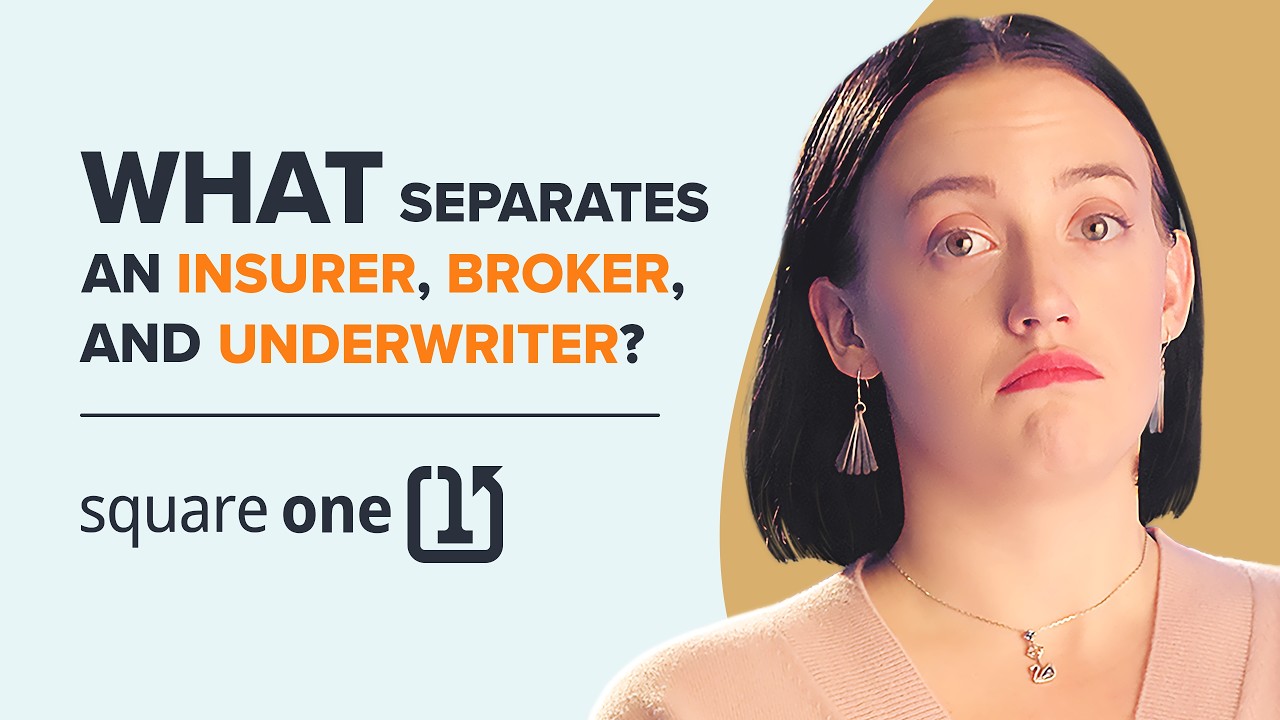 Insurers Explained (With Examples) | Insurance Definitions