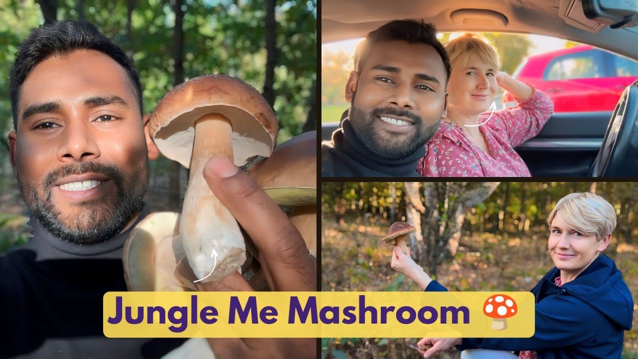Mashroom Season 🍄😍 I Barbara Polak