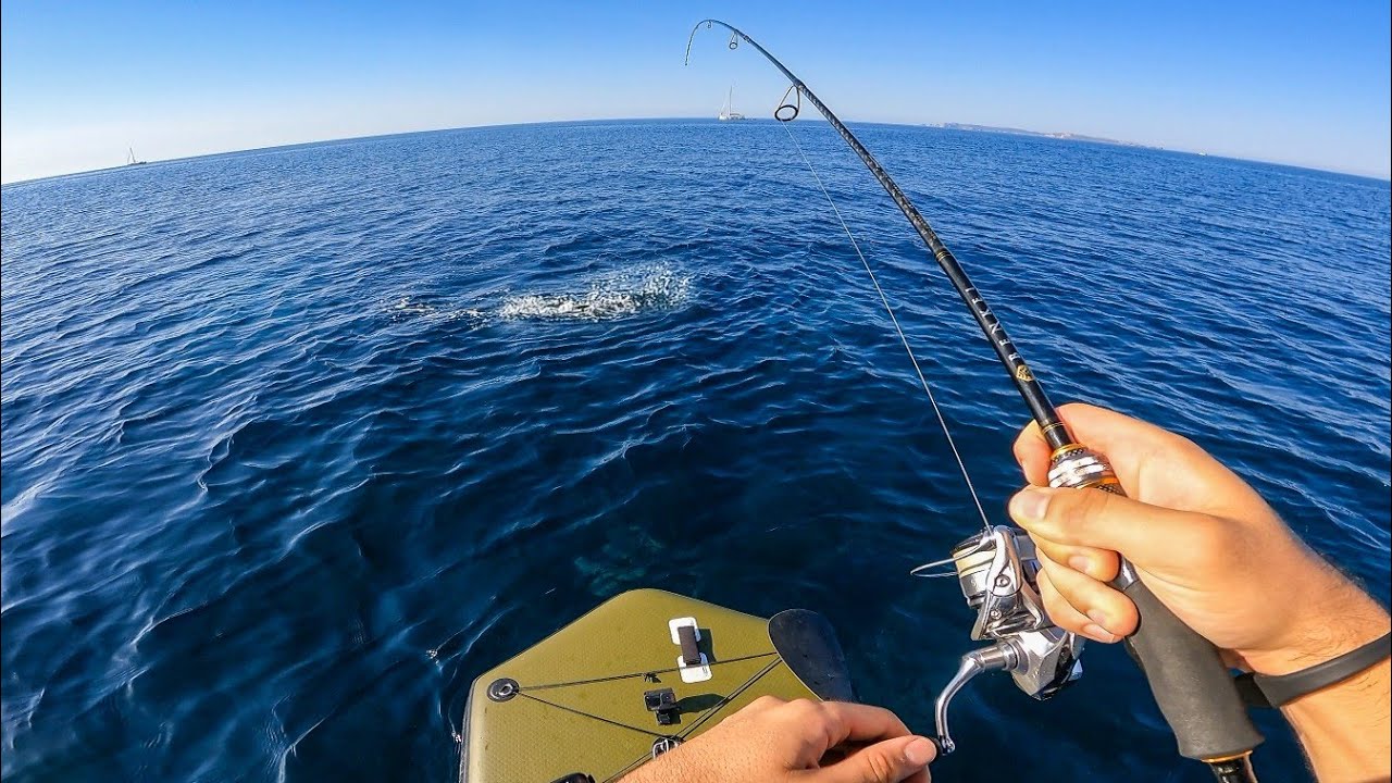 PESCA desde PADDLE SURF | INCREIBLES RESULTADOS