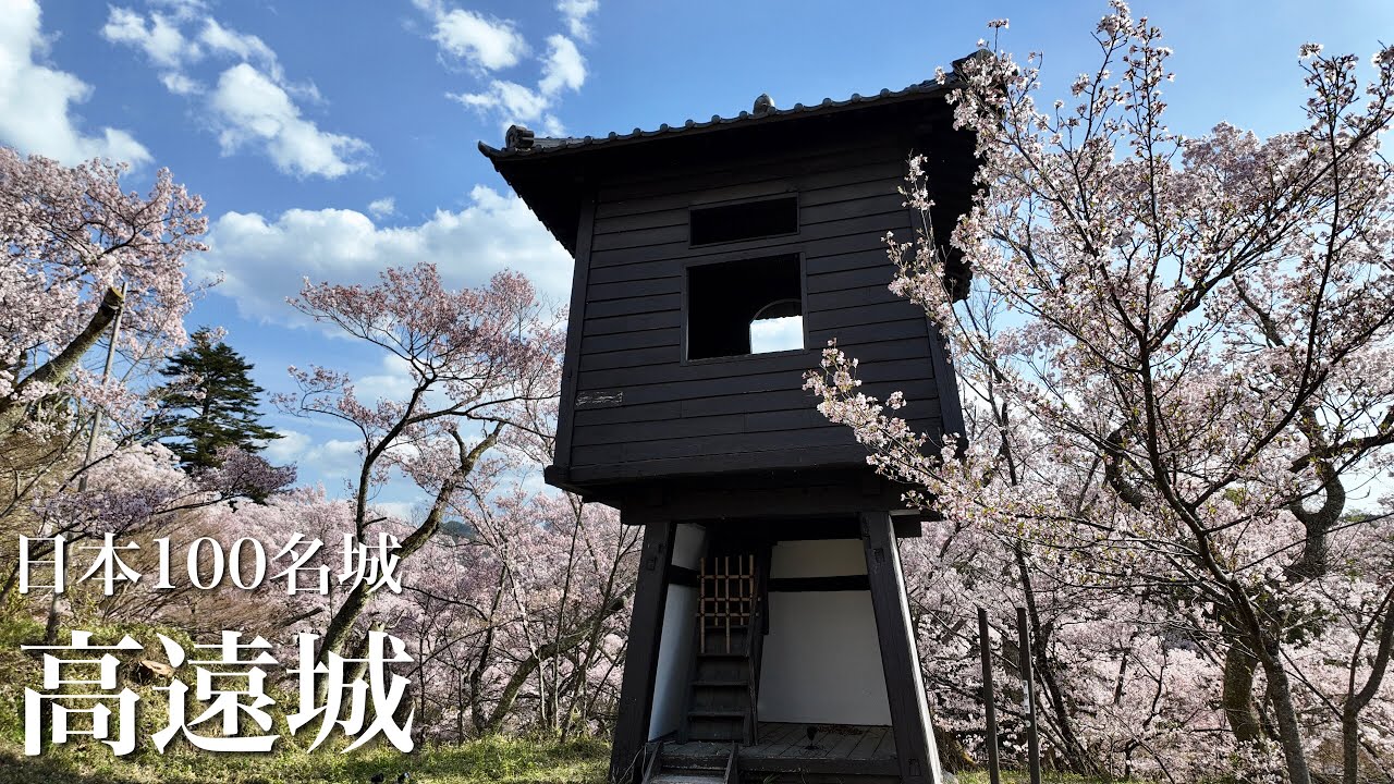 日本100名城　高遠城　天下第一の桜　長野県　Takato Castle 2024