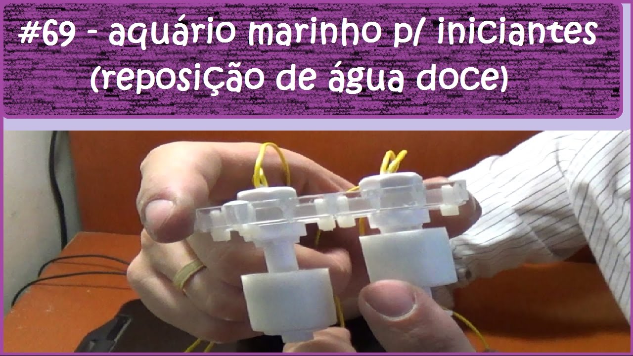 Aquário Marinho Para Iniciantes (Reservatório de Água Doce)